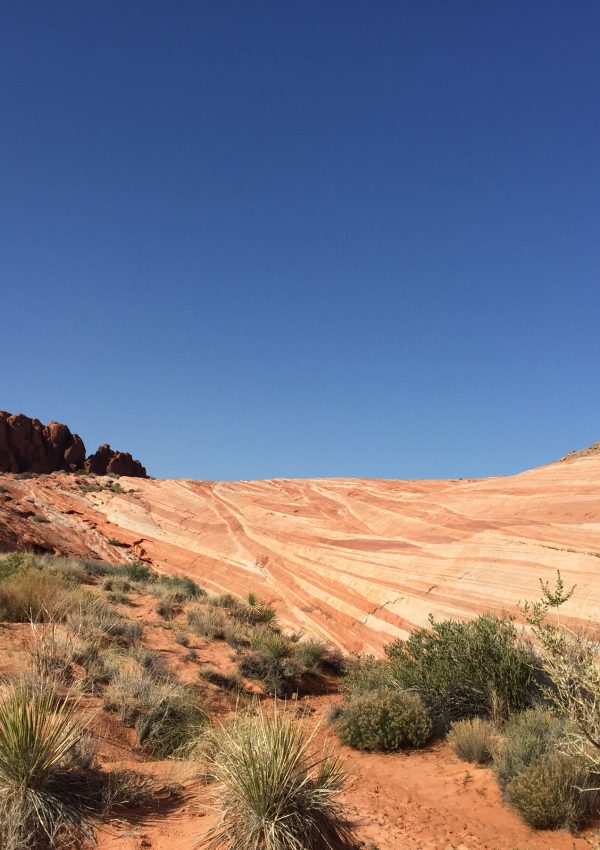 What to do in Las Vegas: Valley of Fire
