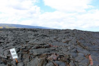 Explore Hawaii Volcanoes National Park One Day