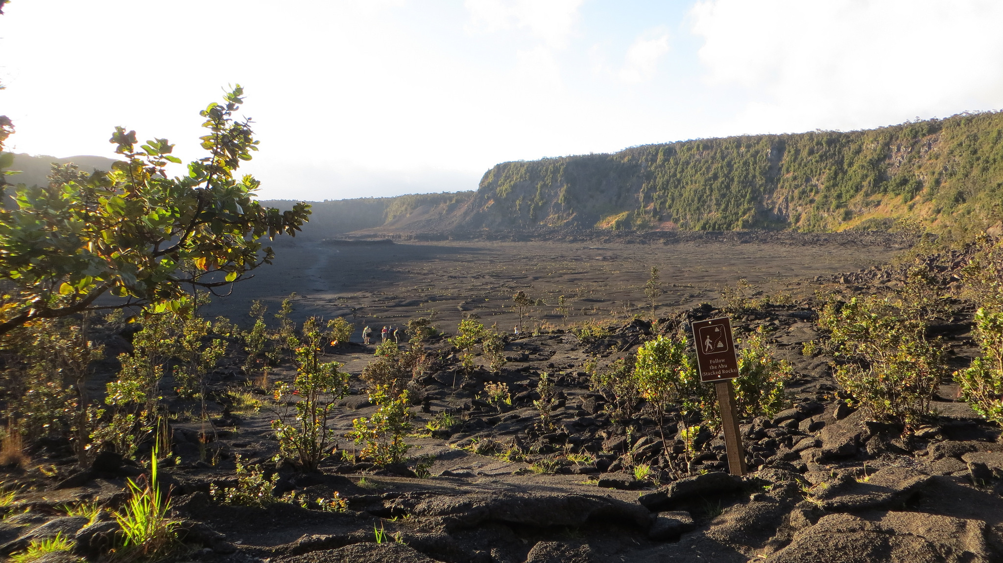 Explore Hawaii Volcanoes National Park One Day