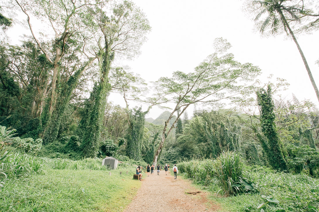 first timer's guide to oahu