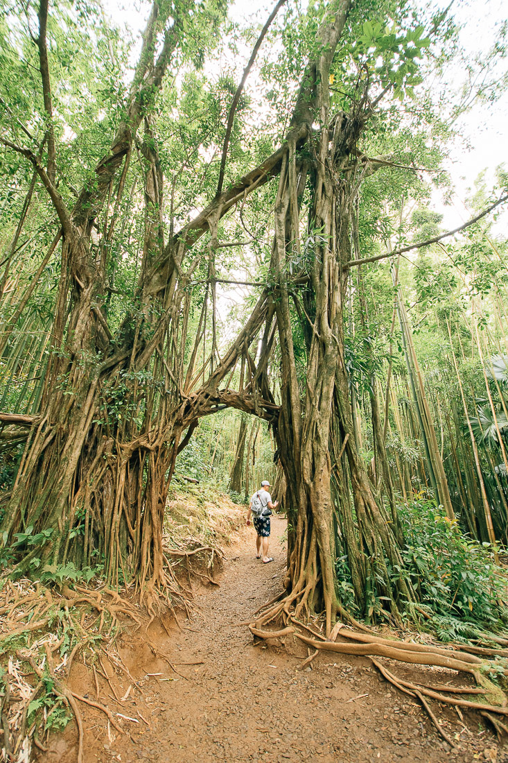 first timer's guide to oahu