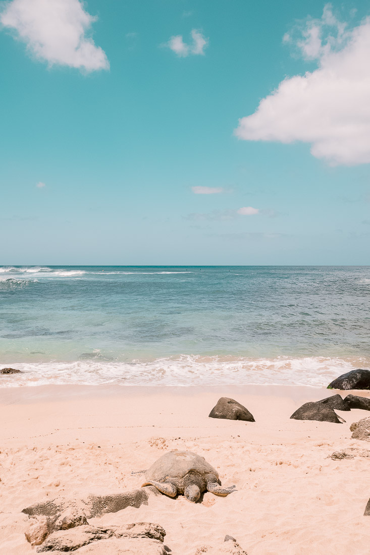 first timer's guide to oahu