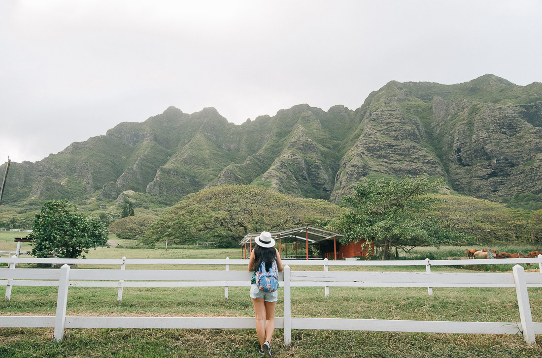 first timer's guide to oahu