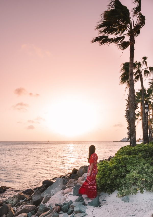first timer's guide to aruba palegreen-crane-919287.hostingersite.com
