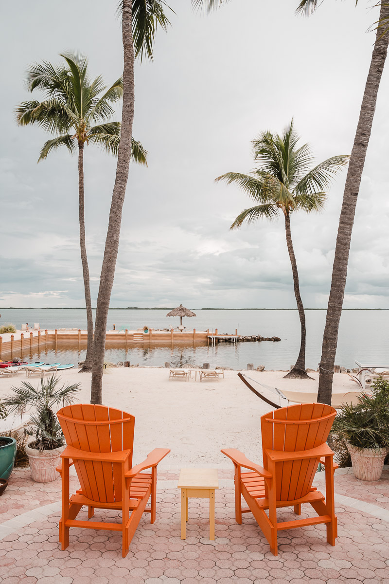 First Timer's Guide to the Florida Keys palegreen-crane-919287.hostingersite.com