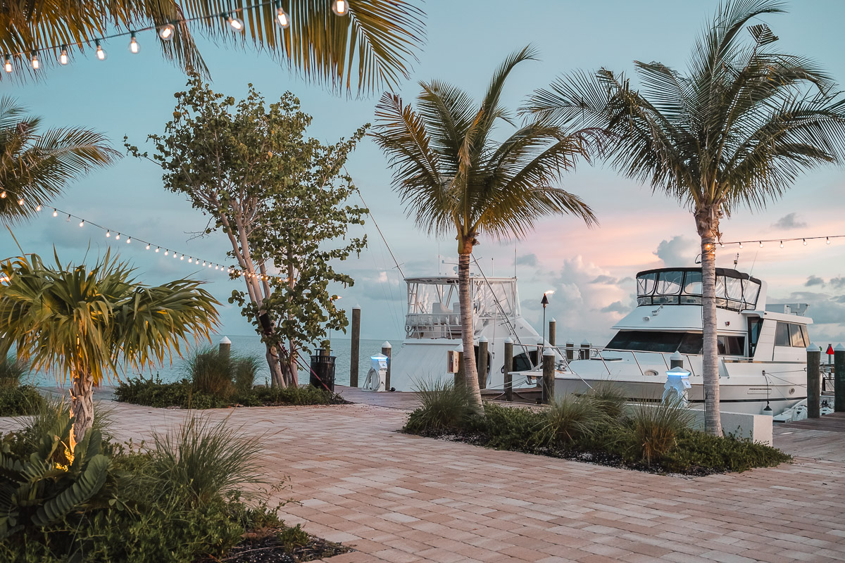 First Timer's Guide to the Florida Keys palegreen-crane-919287.hostingersite.com