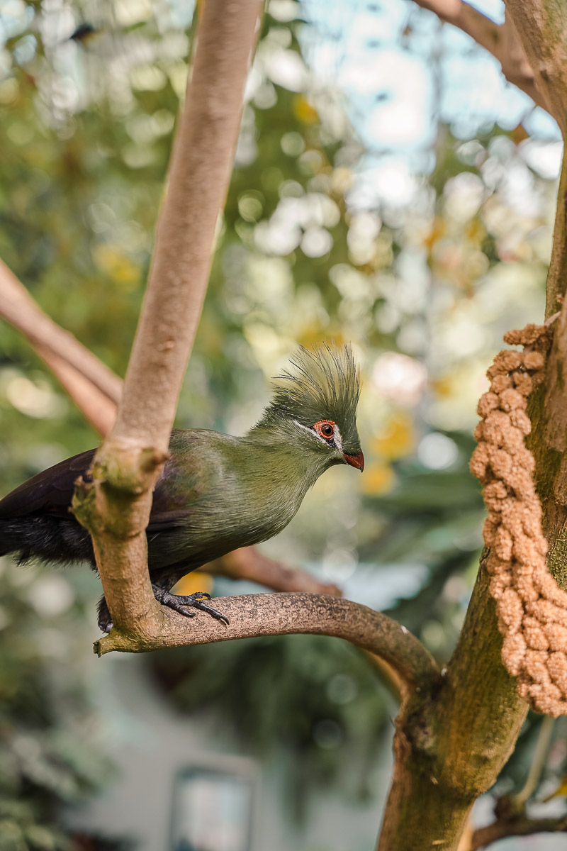 First Timer's Guide to the Florida Keys palegreen-crane-919287.hostingersite.com
