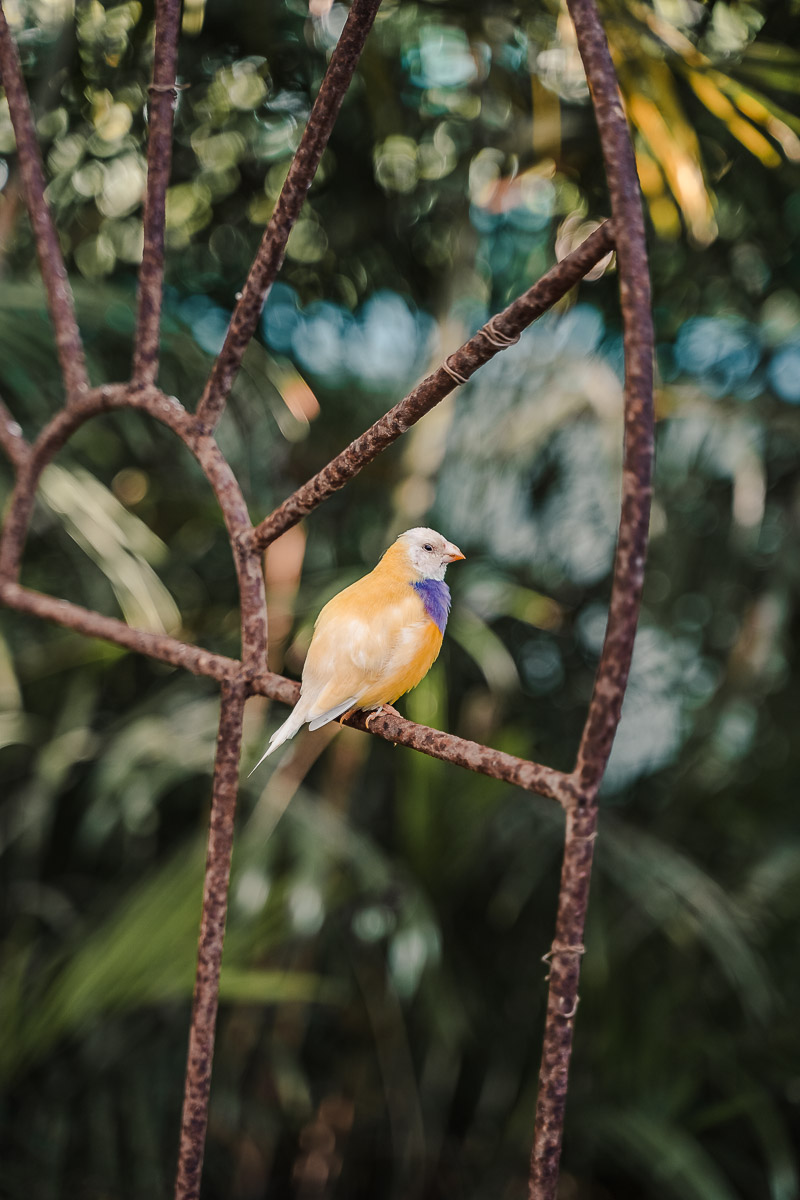 First Timer's Guide to the Florida Keys palegreen-crane-919287.hostingersite.com