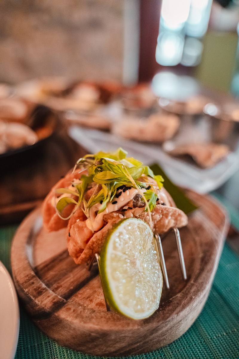 First Timer's Guide to the Florida Keys palegreen-crane-919287.hostingersite.com