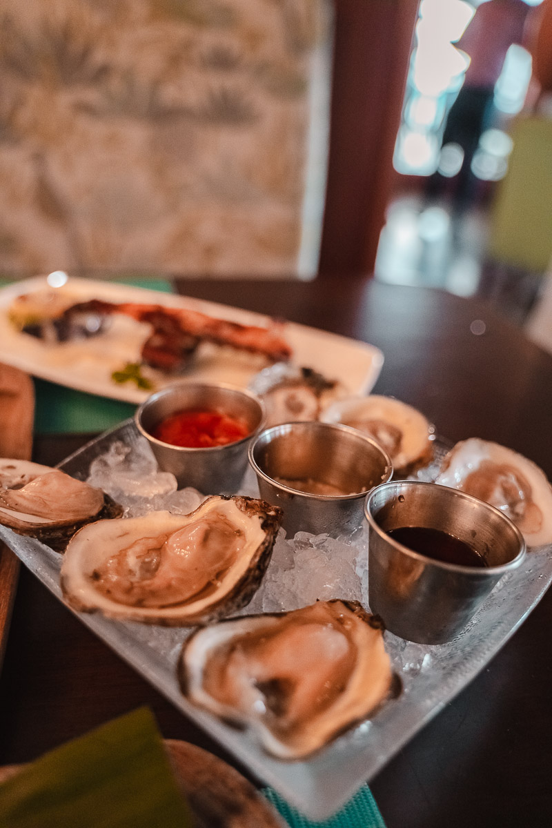 First Timer's Guide to the Florida Keys palegreen-crane-919287.hostingersite.com