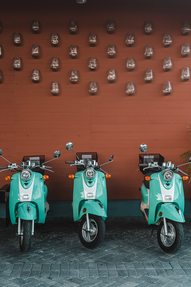 First Timer's Guide to the Florida Keys palegreen-crane-919287.hostingersite.com