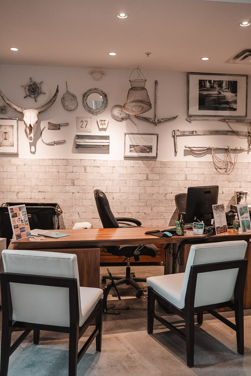 First Timer's Guide to the Florida Keys palegreen-crane-919287.hostingersite.com