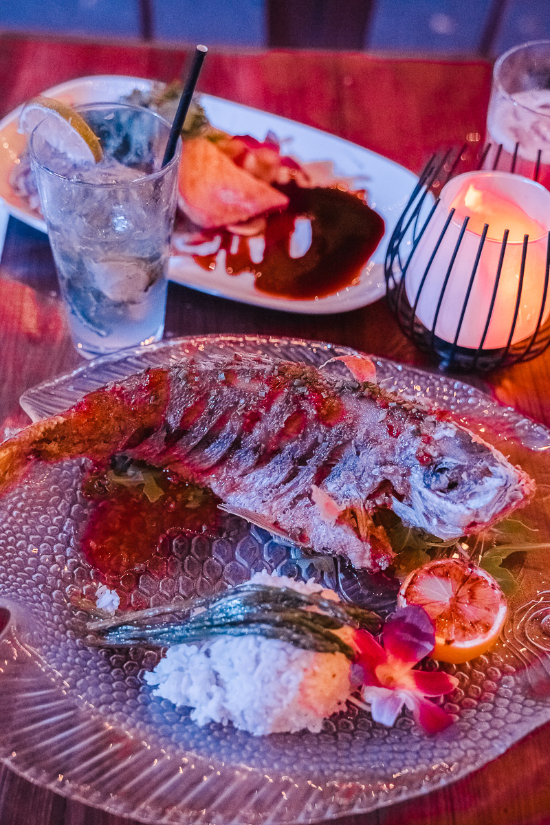 First Timer's Guide to the Florida Keys palegreen-crane-919287.hostingersite.com