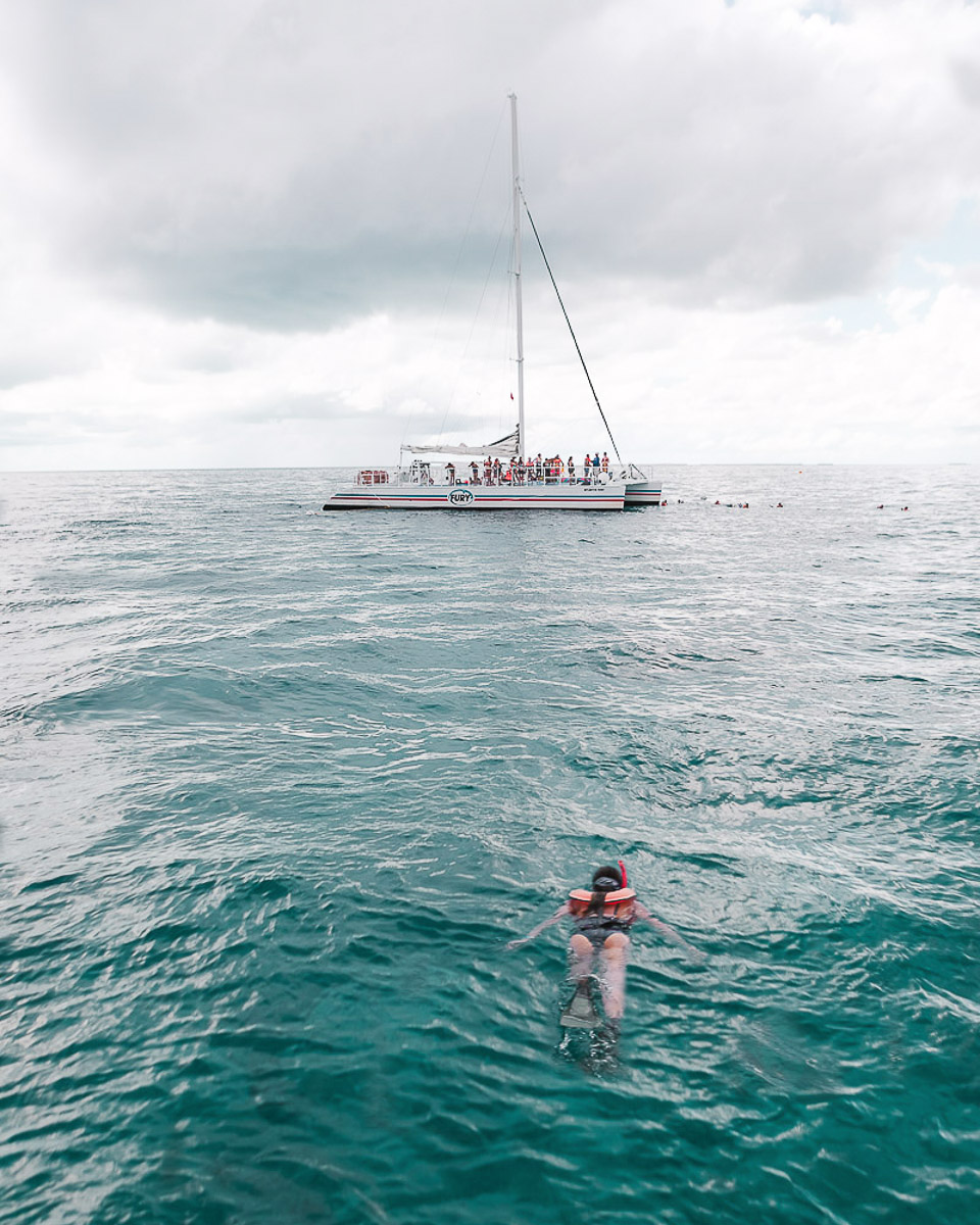 First Timer's Guide to the Florida Keys palegreen-crane-919287.hostingersite.com