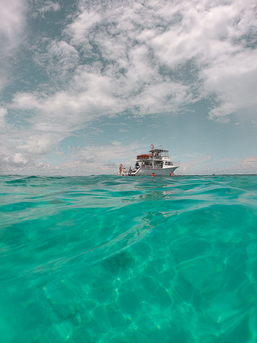 First Timer's Guide to the Florida Keys palegreen-crane-919287.hostingersite.com