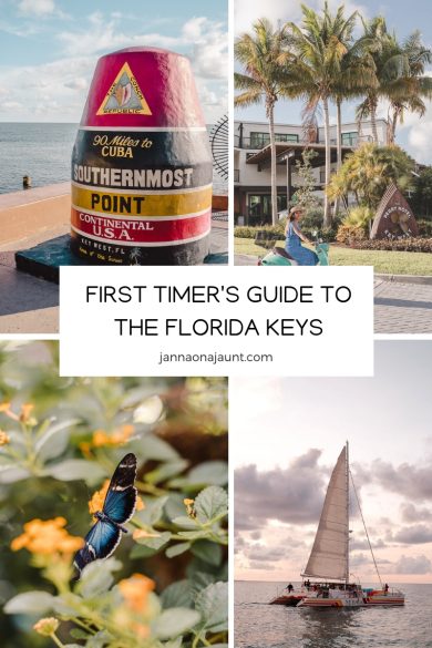 First Timer's Guide to the Florida Keys palegreen-crane-919287.hostingersite.com