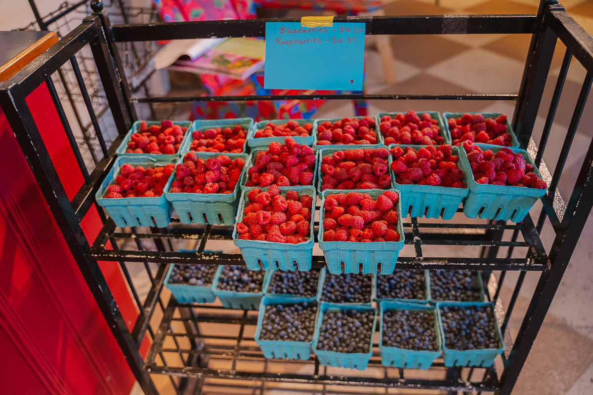 The Ultimate Summer Road Trip Guide to Vermont