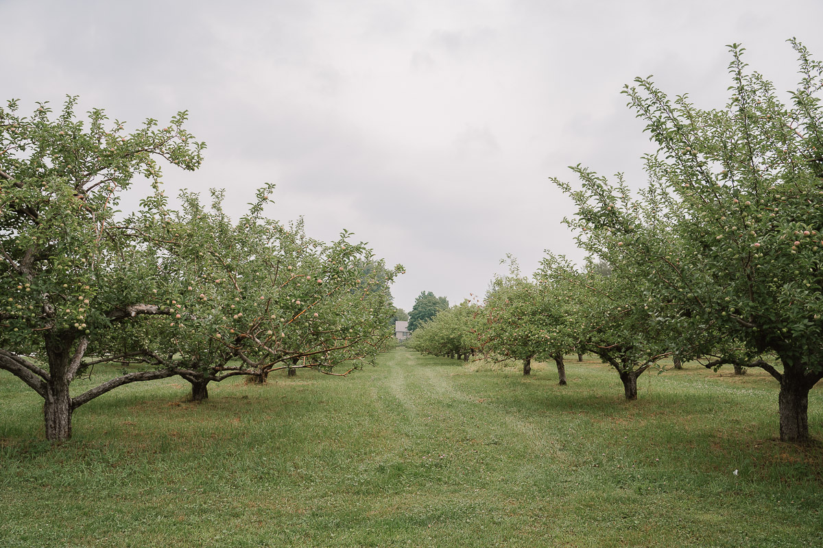 The Ultimate Summer Road Trip Guide to Vermont