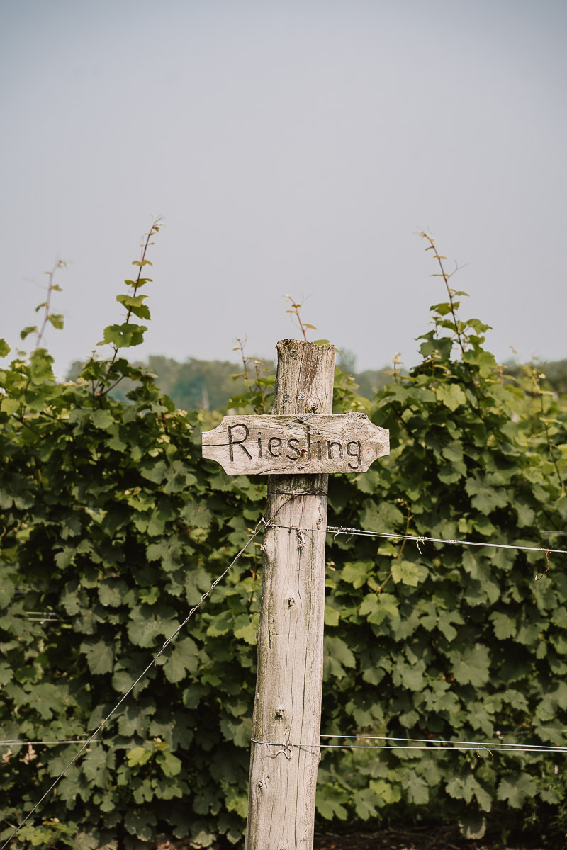 The Ultimate Summer Road Trip Guide to Vermont