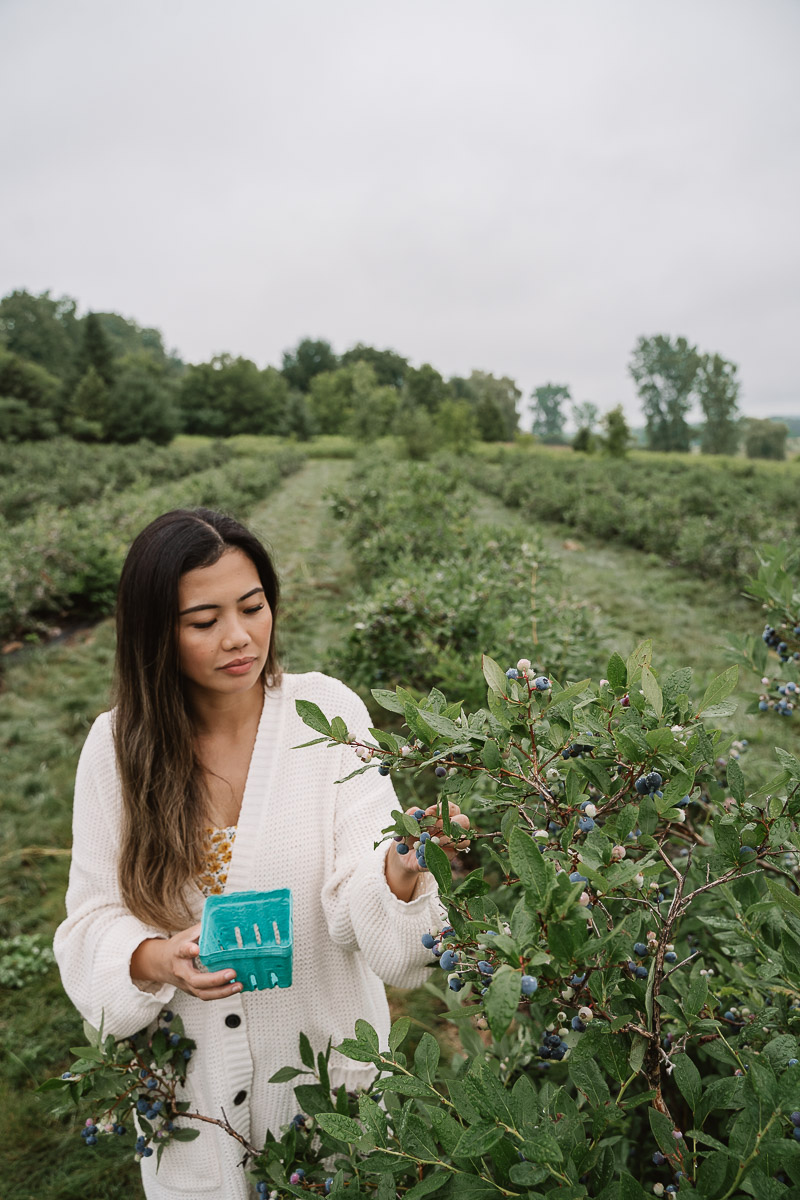 The Ultimate Summer Road Trip Guide to Vermont